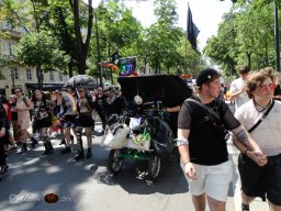 Regenbogenparade 2024